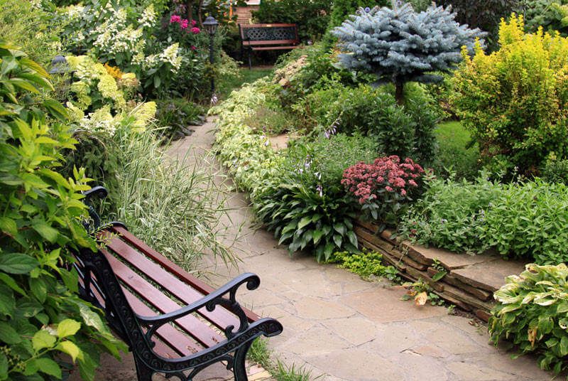 early spring gardening tips
