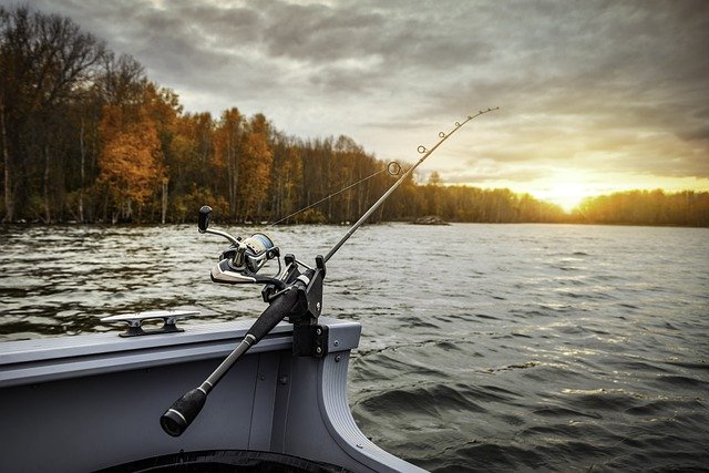 What fish are currently in season in Oregon?
