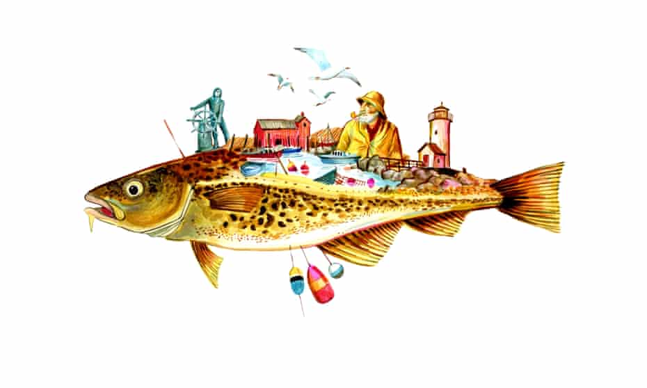 An overview of the sport of fishing
