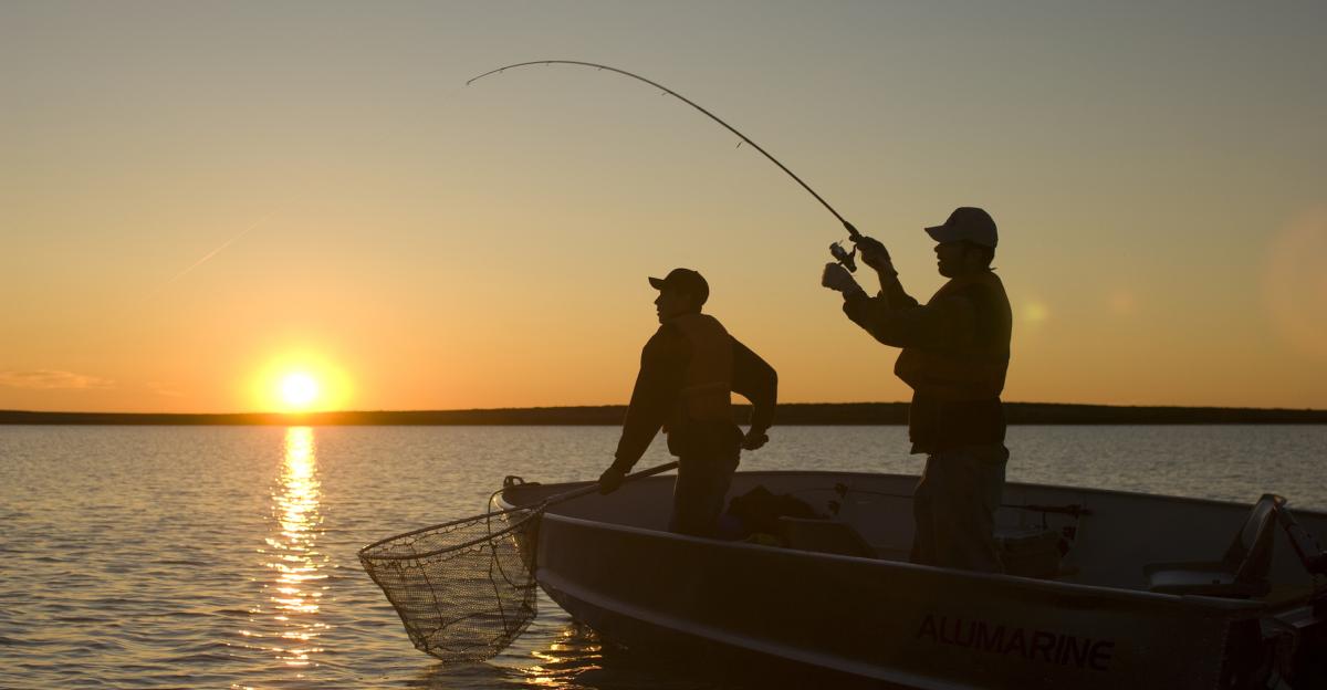 Fishing in Urban Areas
