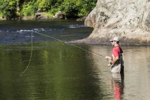 Tenkara Fishing Tips
