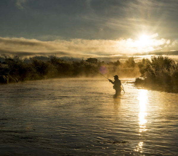 Colorado River Fishing Reports
