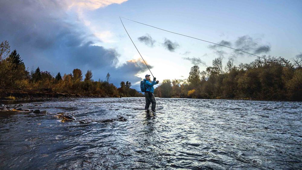 Three types of fishing fly
