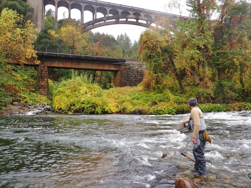 Fishing with a fly can be both an art form and a science.
