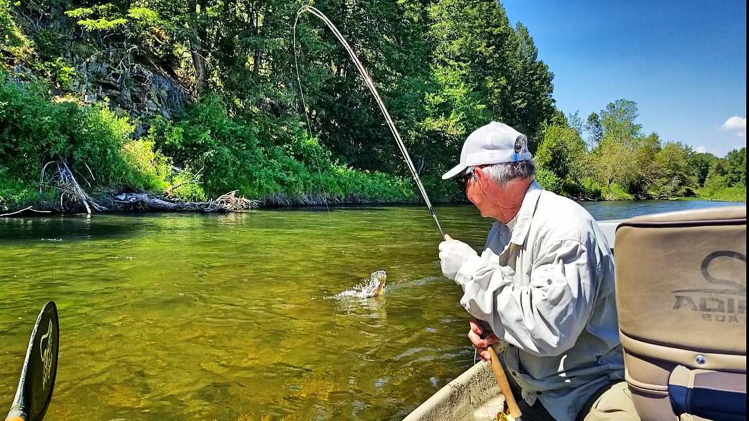 Three Types Of Fishing Fly
