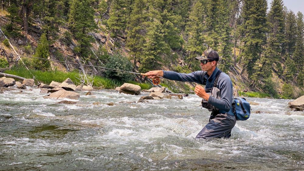 Fly fishing videos
