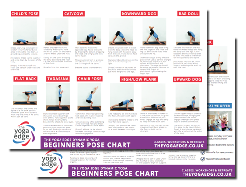 yoga for beginners seniors