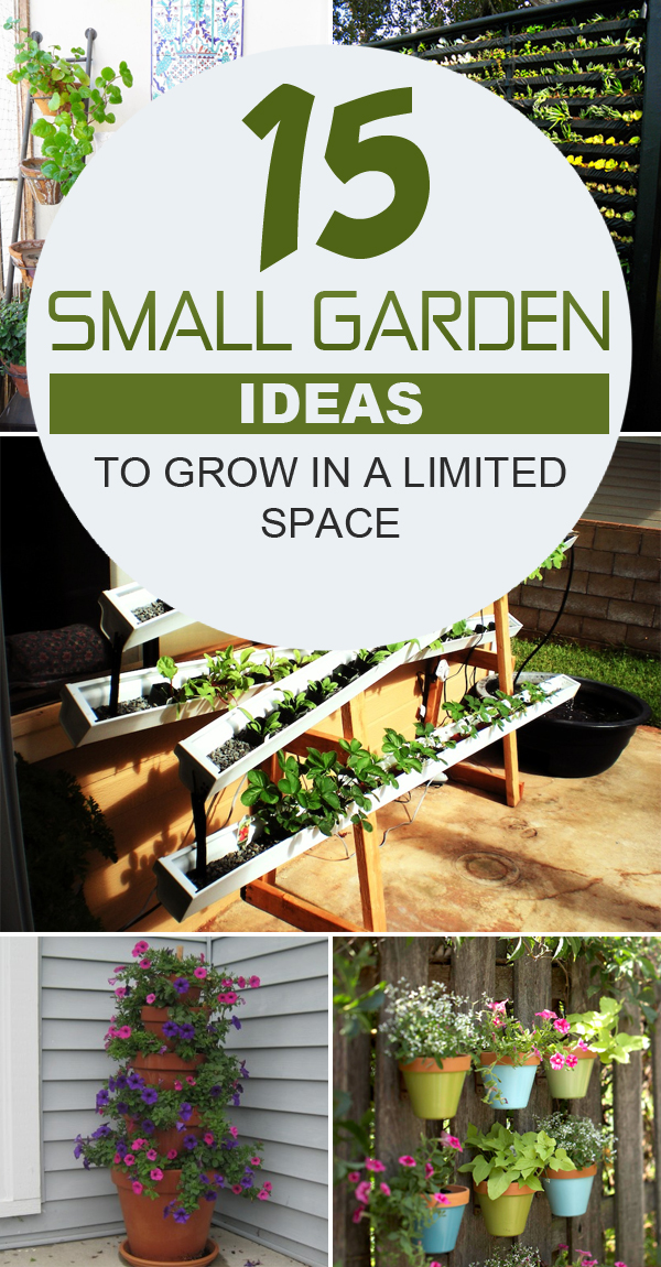 Garden in Small Spaces Gardening Tips
