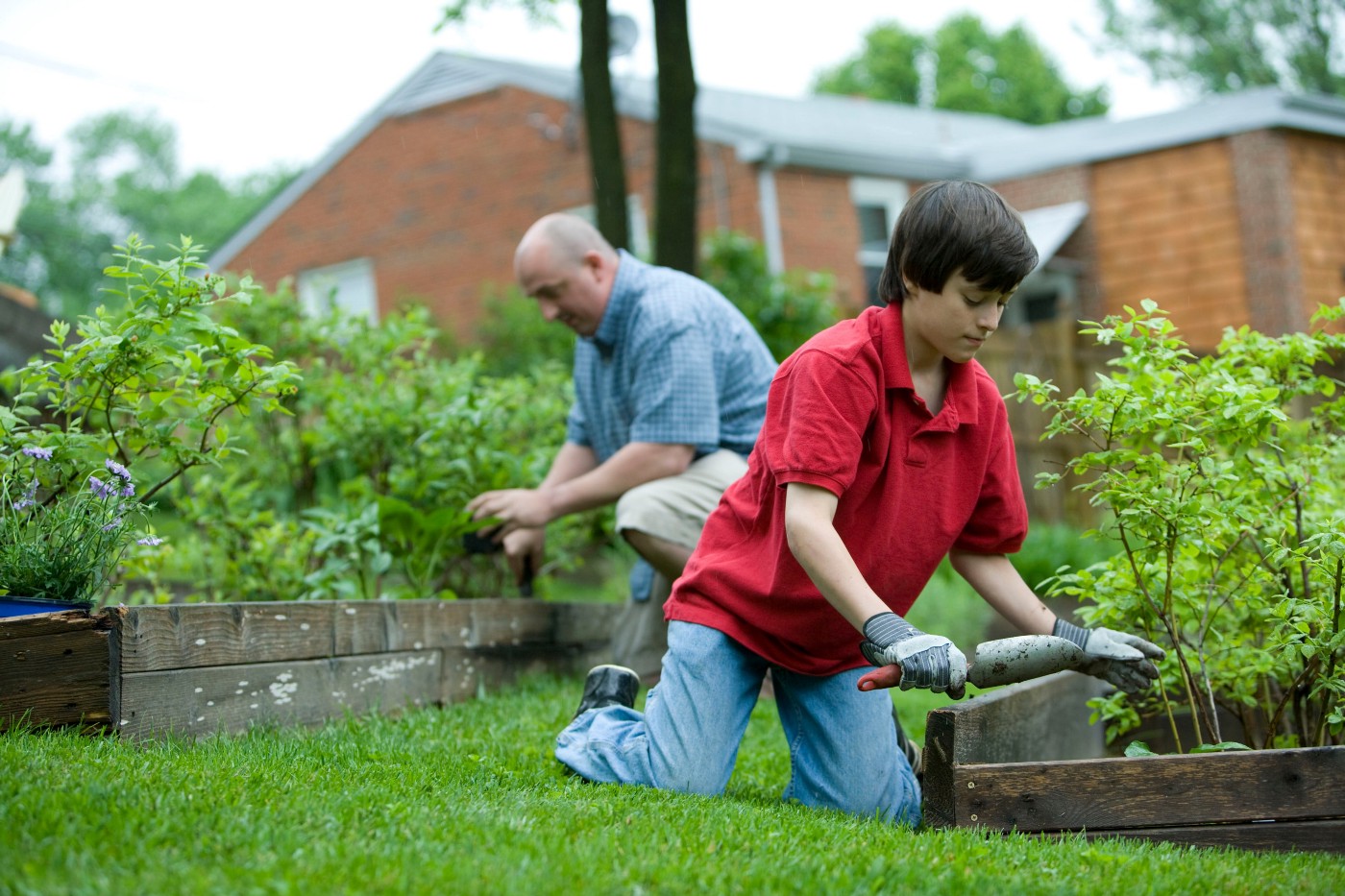 pinterest uk gardening ideas