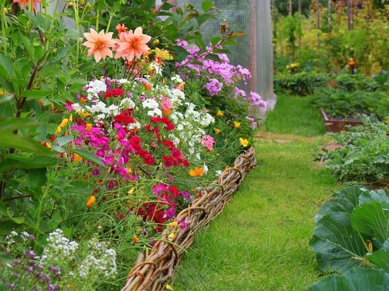 gardening ideas uk