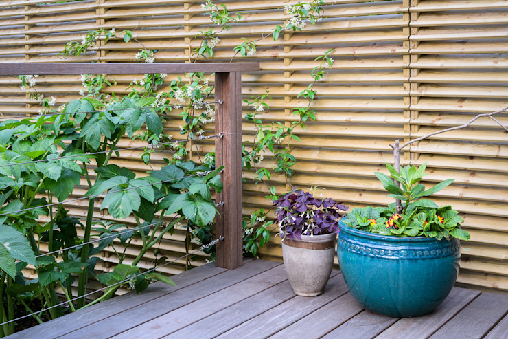 Top Tips For Using Garden Soil in Containers
