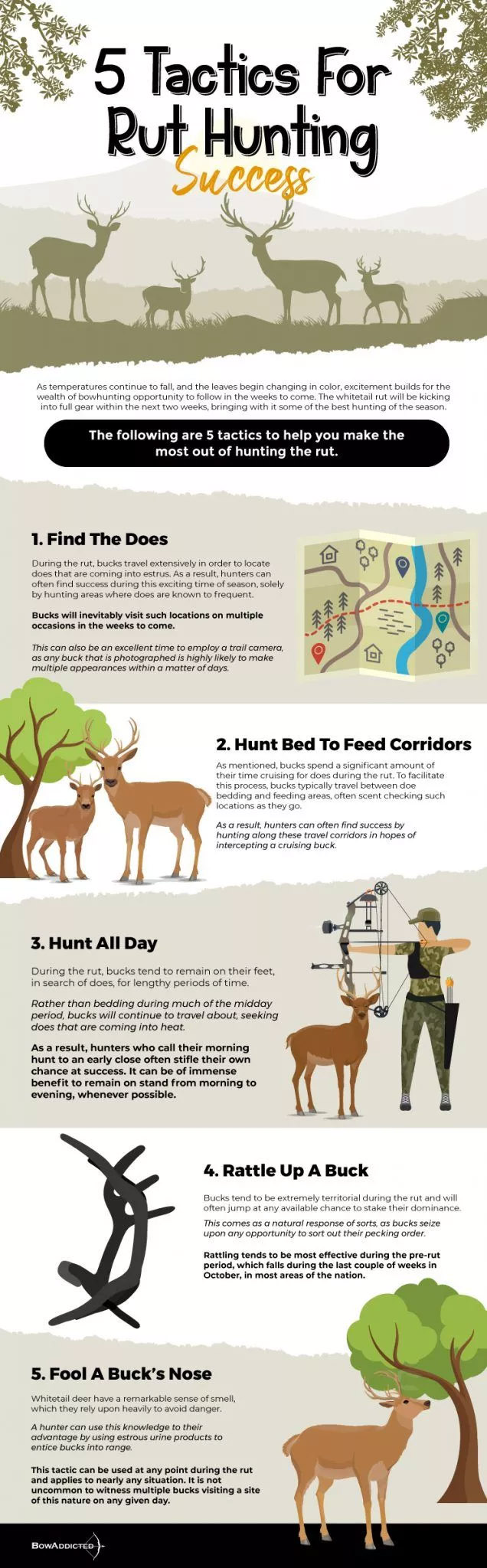 Hunting the Rut – How to Find a Buck In a Rut
