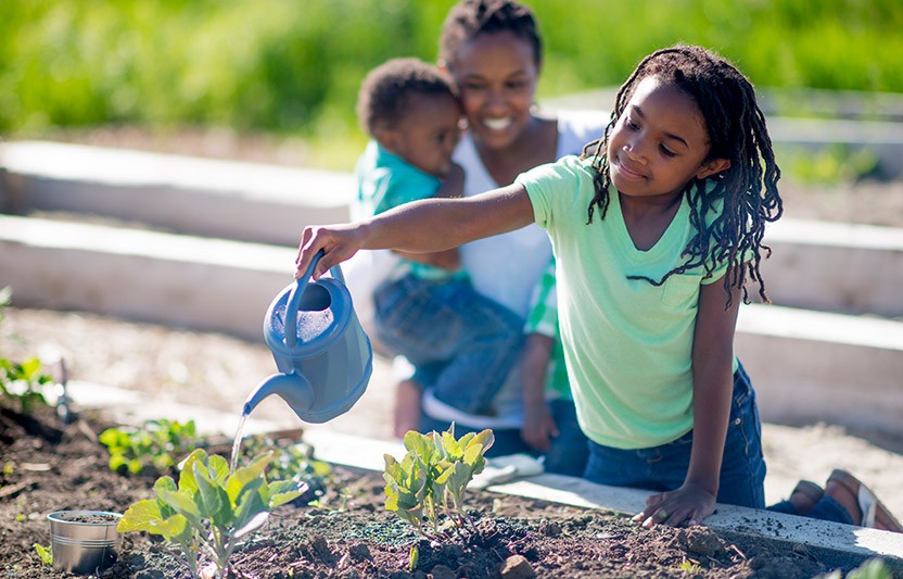 vegetable container gardening ideas