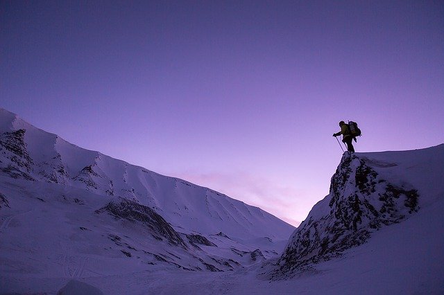 how to survive in alaska wilderness