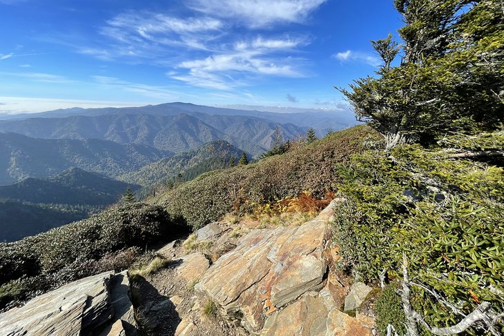 Best Yosemite Hikes
