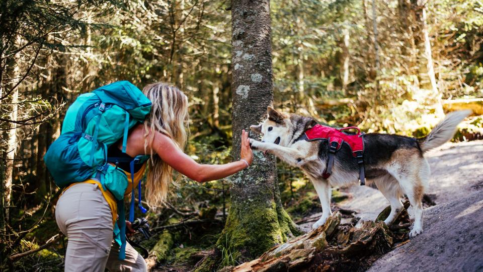 outdoor survival school near me