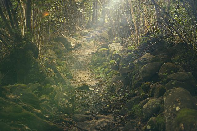 Long Distance Hiking Trails Texas
