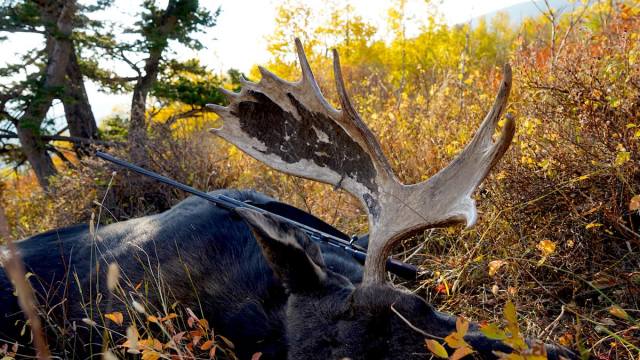 Hunting deer late season
