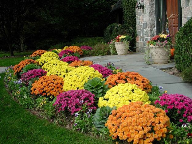 Creative Landscape Edging Designs for Your Flower Beds
