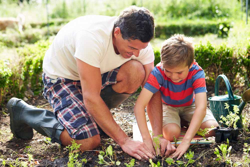 How to Make Raised Garden Beds Instructions: How to Make Your Own Raised Garden Beds
