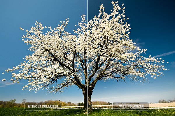 photography perspective examples