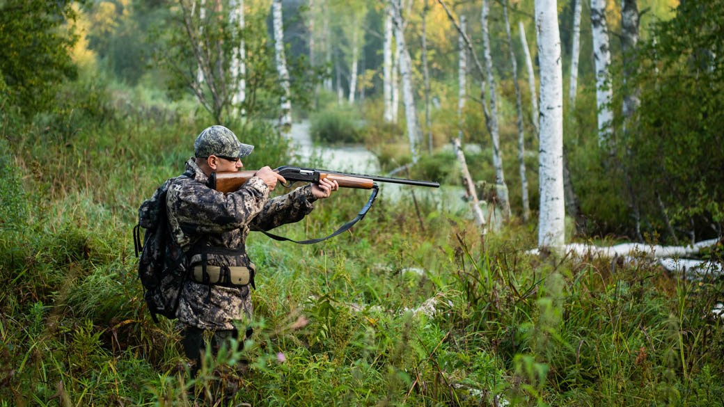 disabled hunter permit