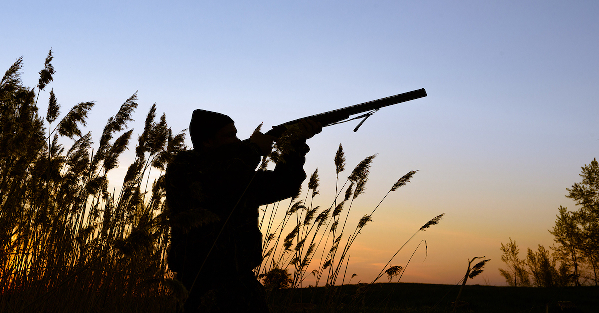 how much orange do you wear for hunting