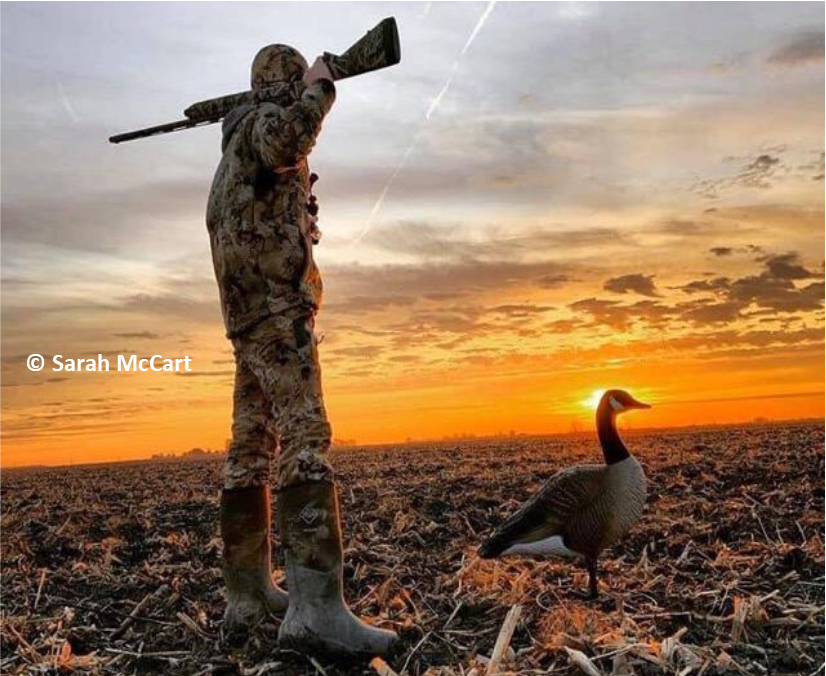 alaska hunting report