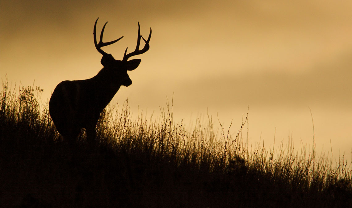 Hunting in Michigan is a great way to get your hands dirty
