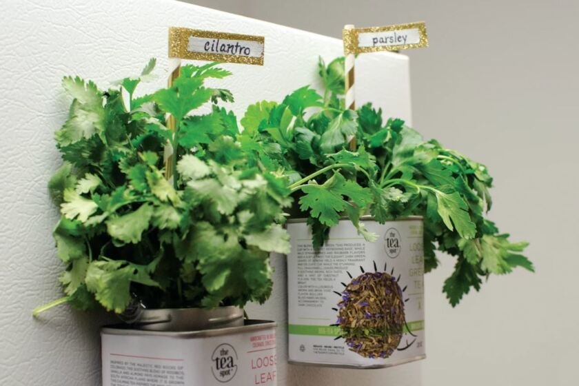 indoor herb gardening kit