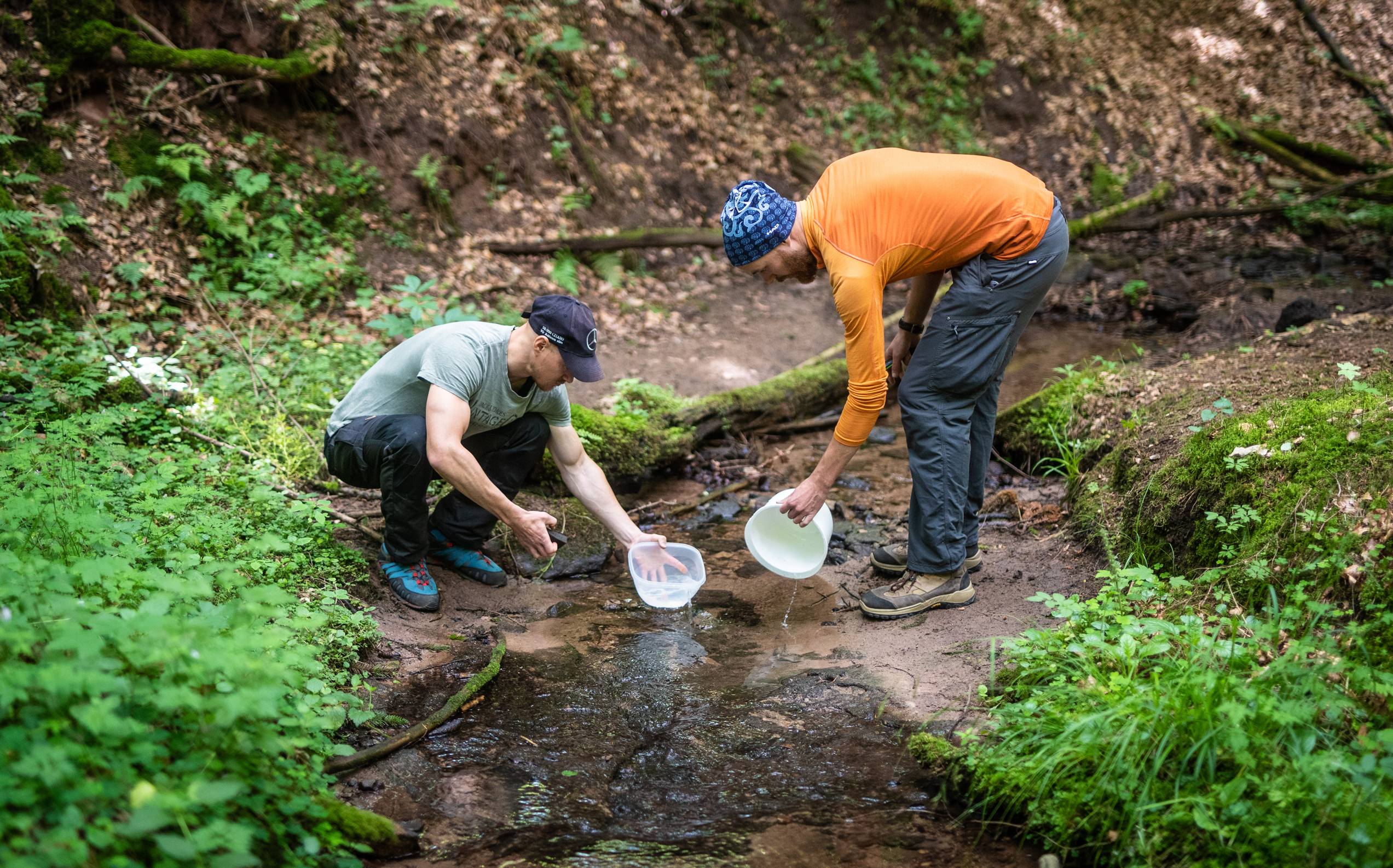 animal tracking courses