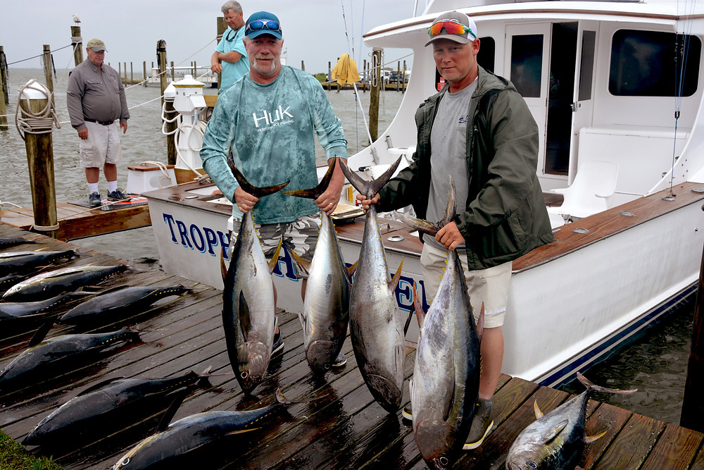Yellowfin Tuna Fishing-The Basics
