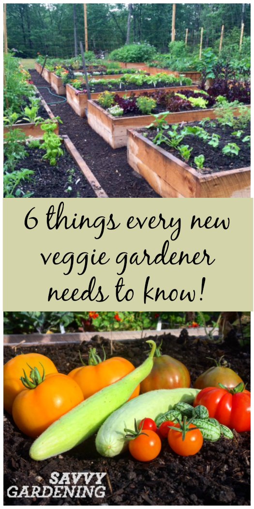 gardening tips for beginners uk