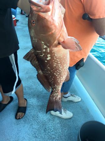 Deep Sea Fishing Charters in Myrtle Beach
