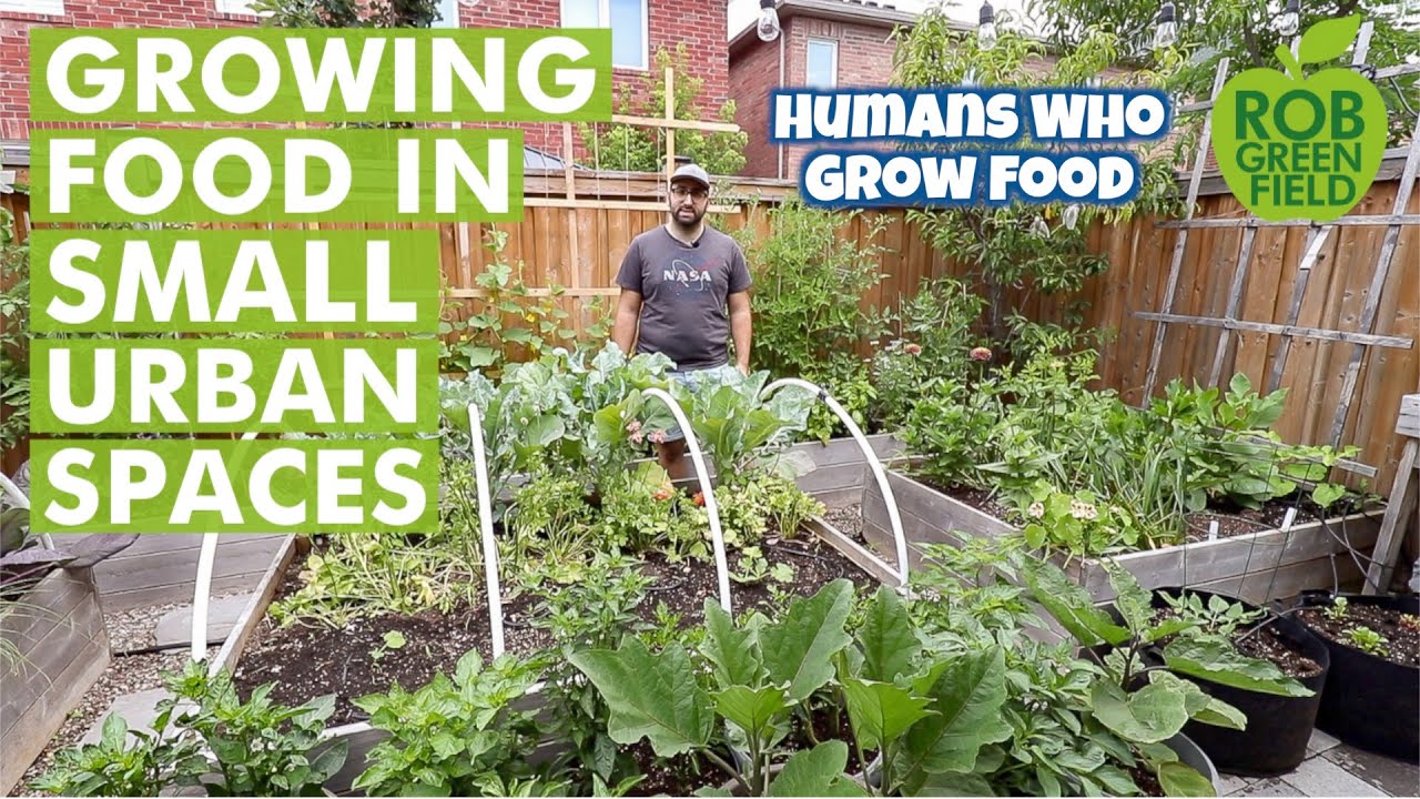 How to Use Straw Bale Vegetable Gardens Technique
