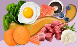 Is the Paleo Diet Healthful?
