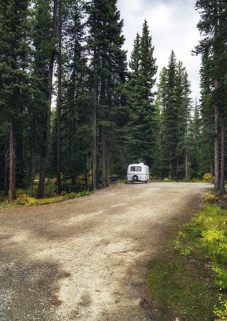 Colorado Bend State Park Campgrounds Offer Great Camping Experiences
