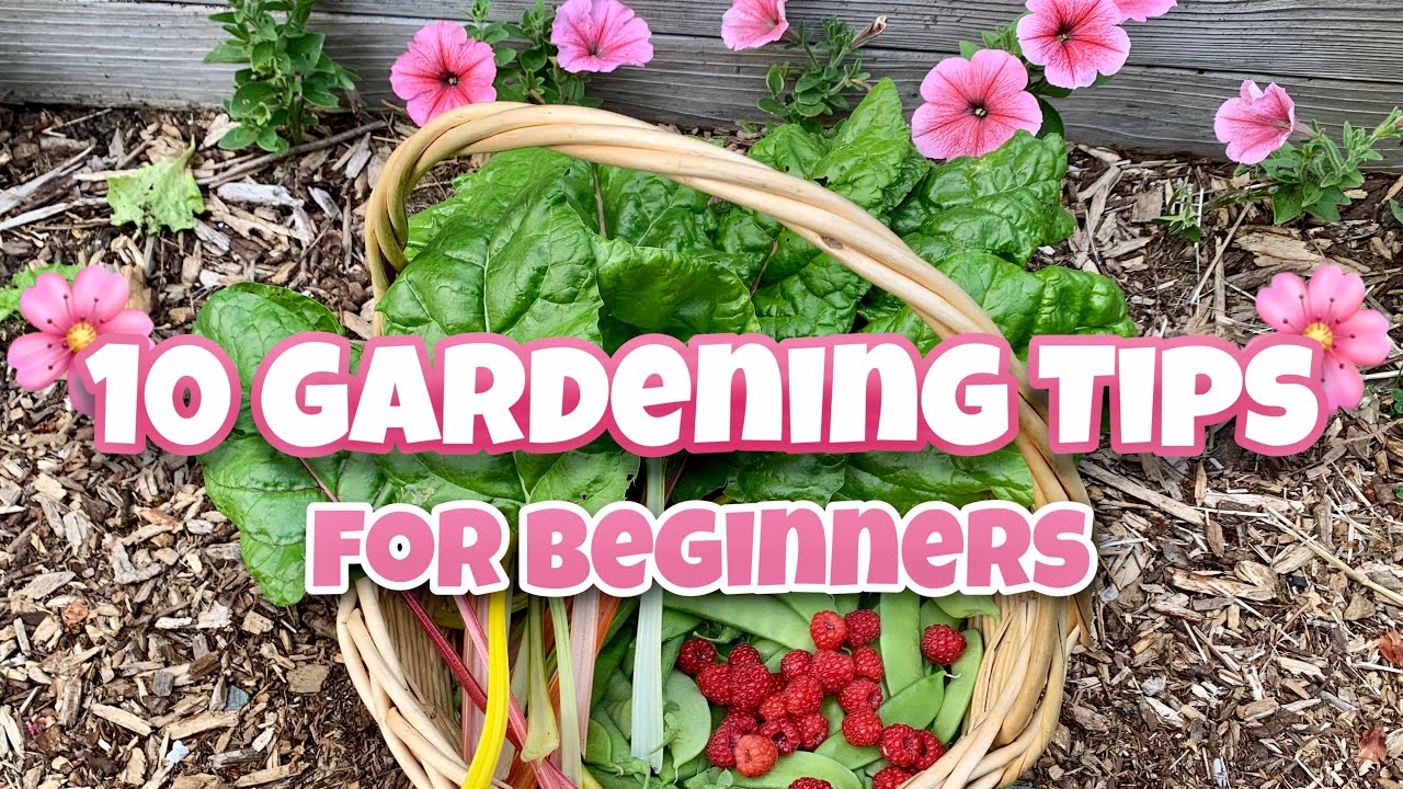 tips for gardening at home