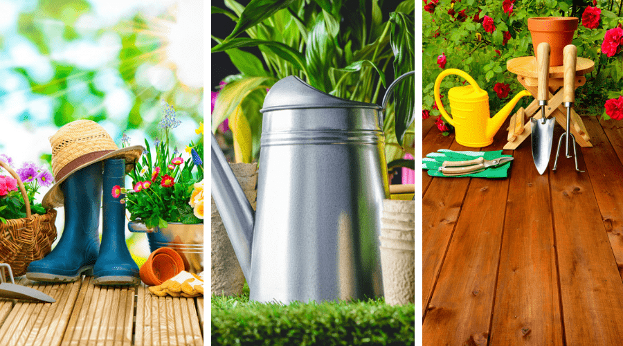 easy gardening tips for beginners