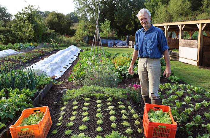 What is Indoor Gardening?
