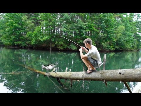 tiny fishing