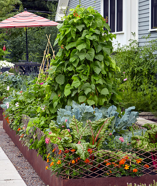 How to use the Straw Bale Vegetable Growing Technique
