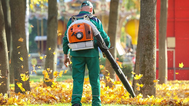 Mulch Gardening: Benefits
