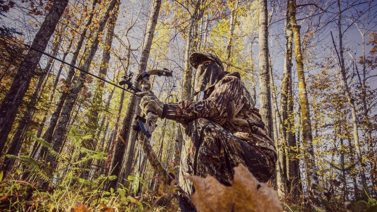Choosing the Best Hunting Recurve Bow
