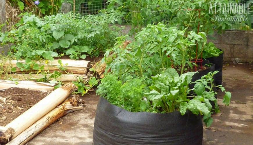 containers for herb gardening