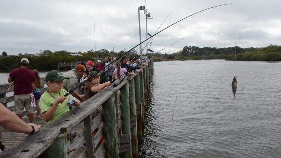 Saltwater Black Bass Fishing Techniques
