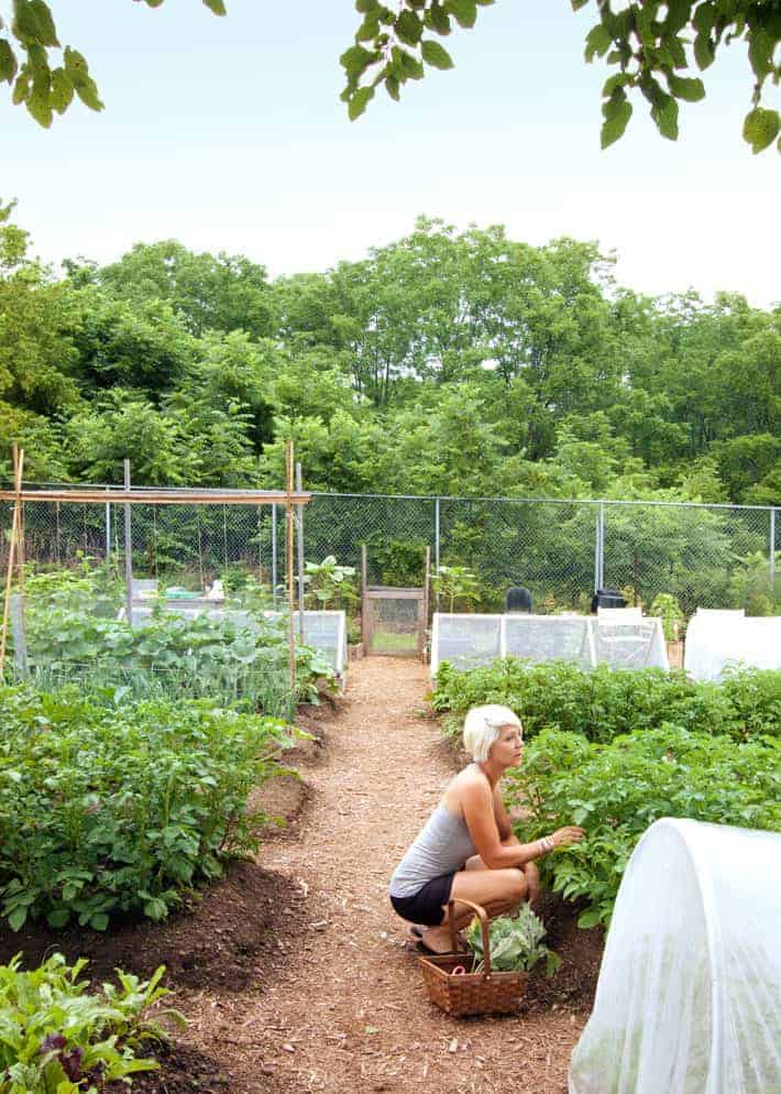 Grow vegetables in small spaces
