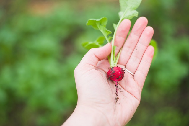 march gardening tips