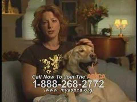 ASPCA Pet Insurance Login
