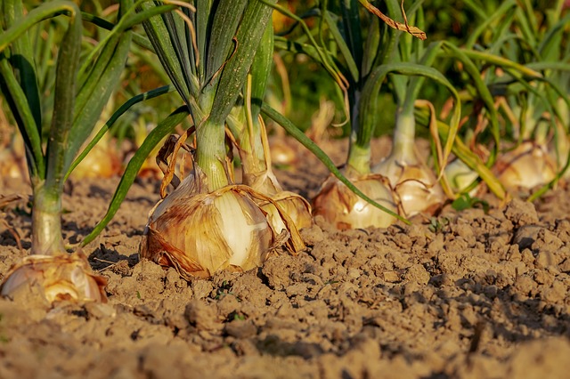 gardening tips for march/april